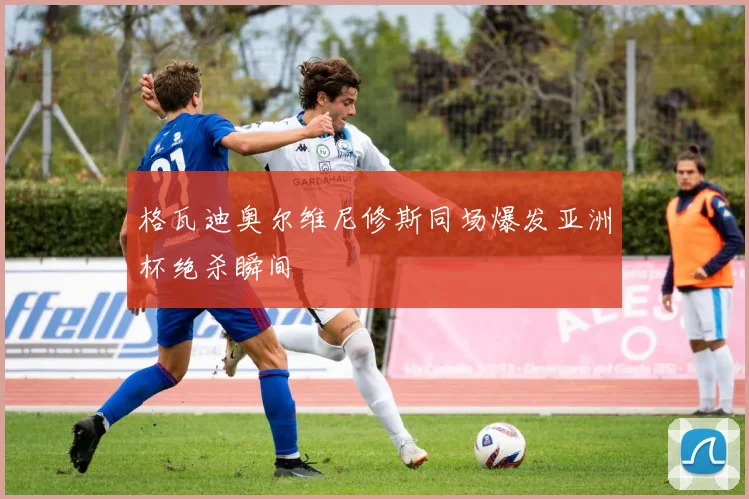 格瓦迪奥尔维尼修斯同场爆发亚洲杯绝杀瞬间