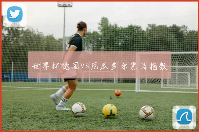 世界杯德国vs厄瓜多尔黑马指数