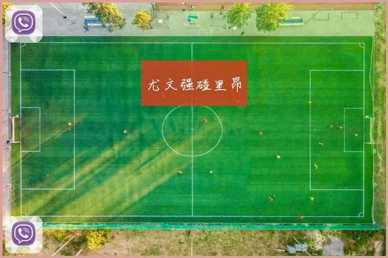 尤文强碰里昂