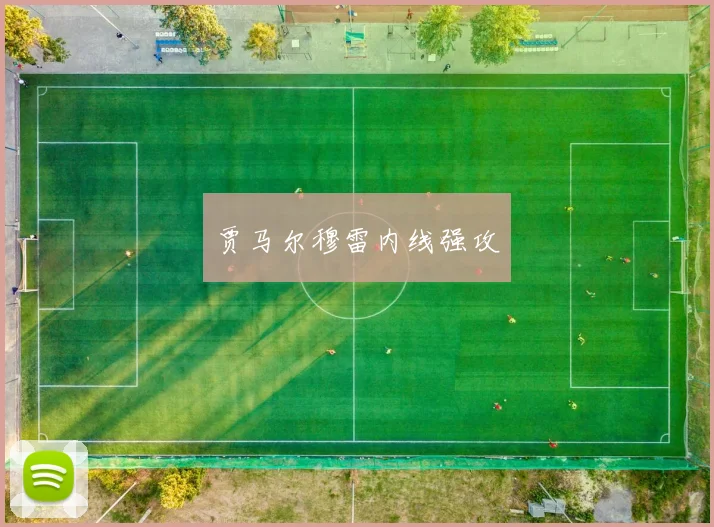 贾马尔穆雷内线强攻