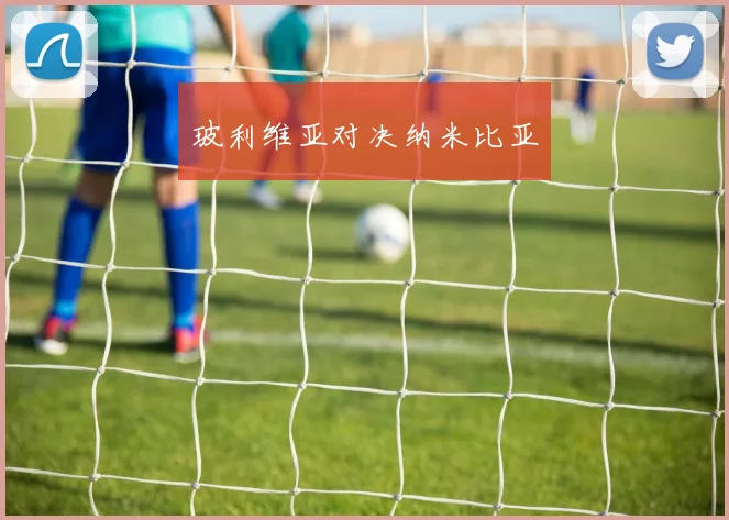 玻利维亚对决纳米比亚