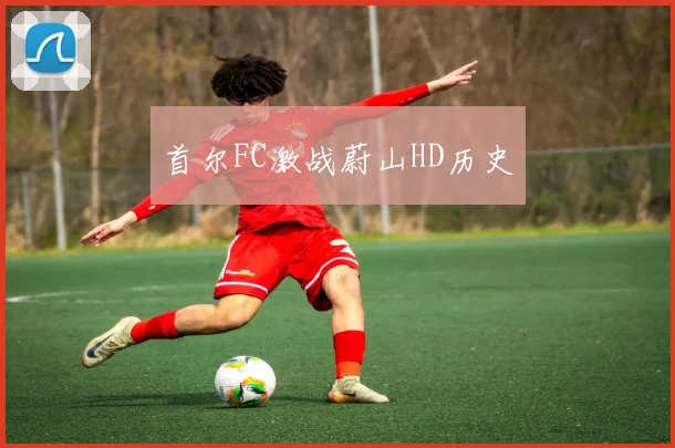 首尔FC激战蔚山HD历史