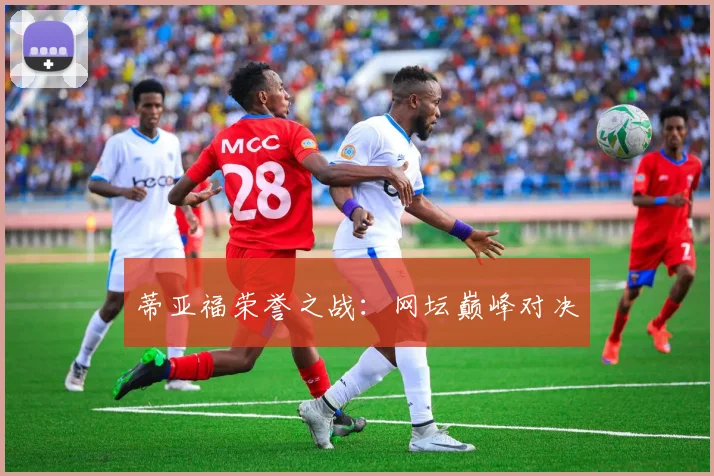 蒂亚福荣誉之战：网坛巅峰对决