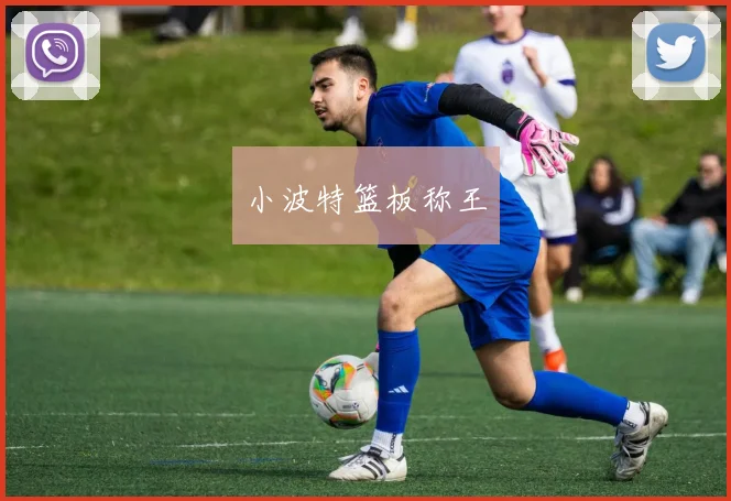 小波特篮板称王