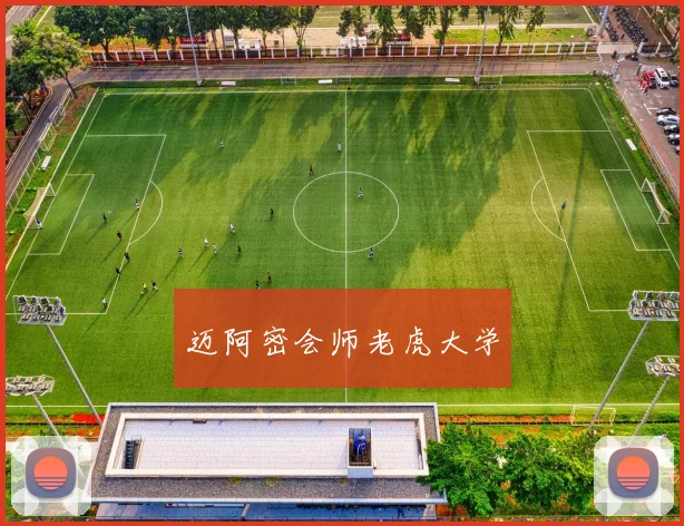 迈阿密会师老虎大学