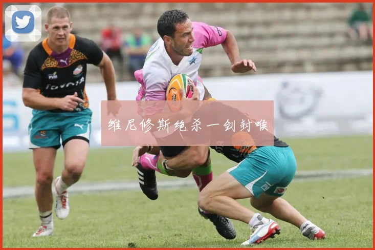 维尼修斯绝杀一剑封喉