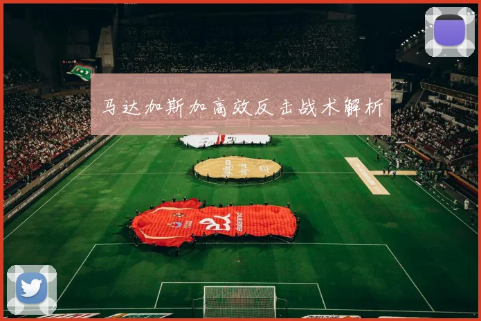 马达加斯加高效反击战术解析