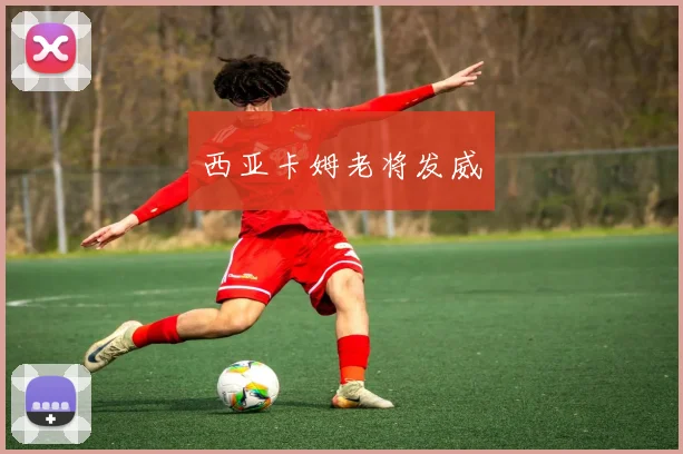 西亚卡姆老将发威