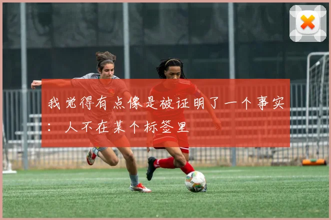 我觉得有点像是被证明了一个事实：人不在某个标签里