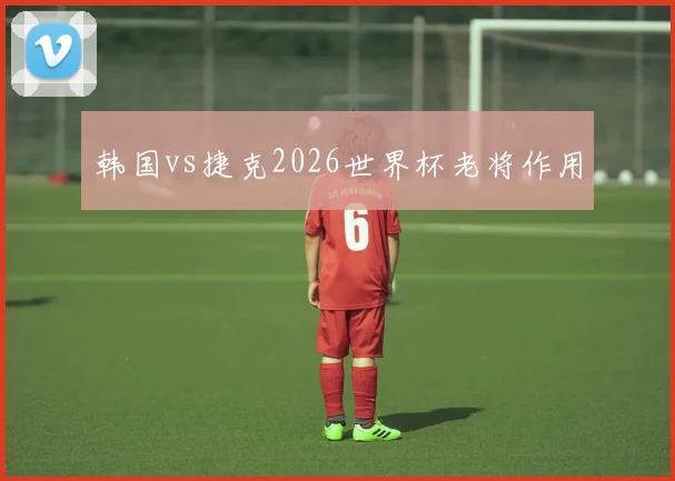 韩国vs捷克2026世界杯老将作用