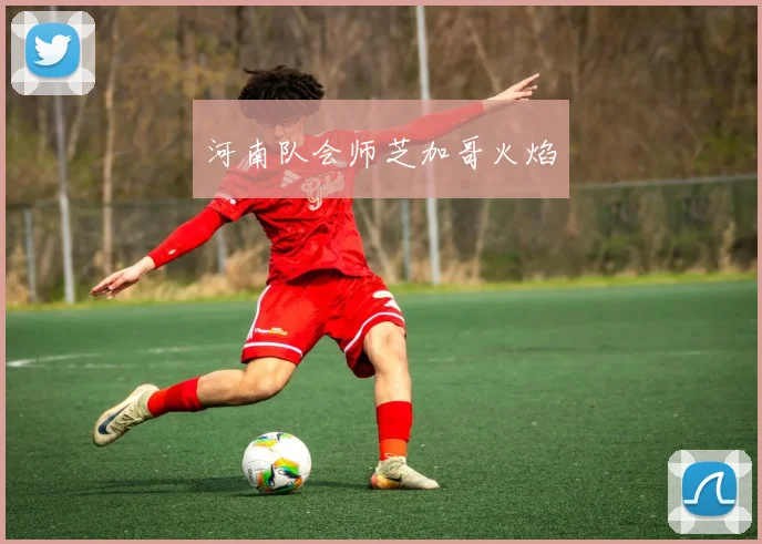 河南队会师芝加哥火焰