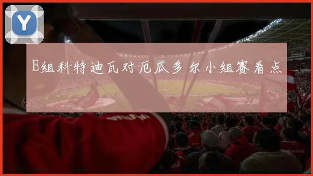 E组科特迪瓦对厄瓜多尔小组赛看点