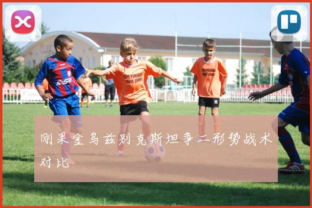 刚果金乌兹别克斯坦争二形势战术对比