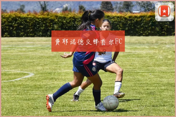 费耶诺德交锋首尔FC