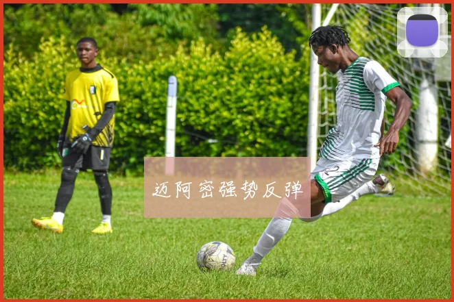 迈阿密强势反弹
