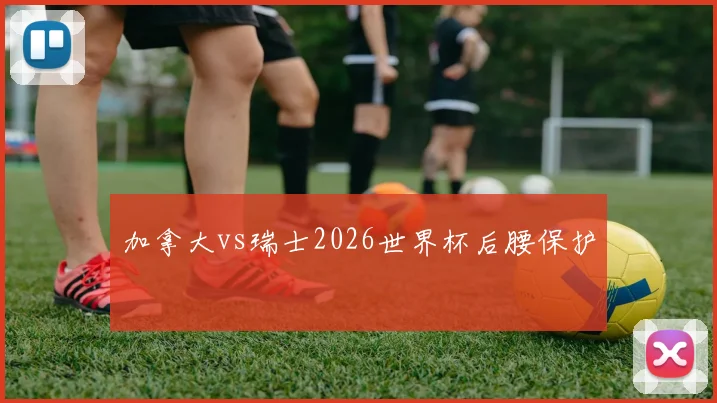 加拿大vs瑞士2026世界杯后腰保护