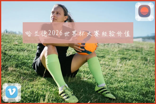 哈兰德2026世界杯大赛经验价值