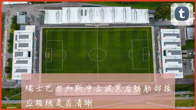瑞士巴尔加斯冲击波黑后防肋部接应路线是否清晰