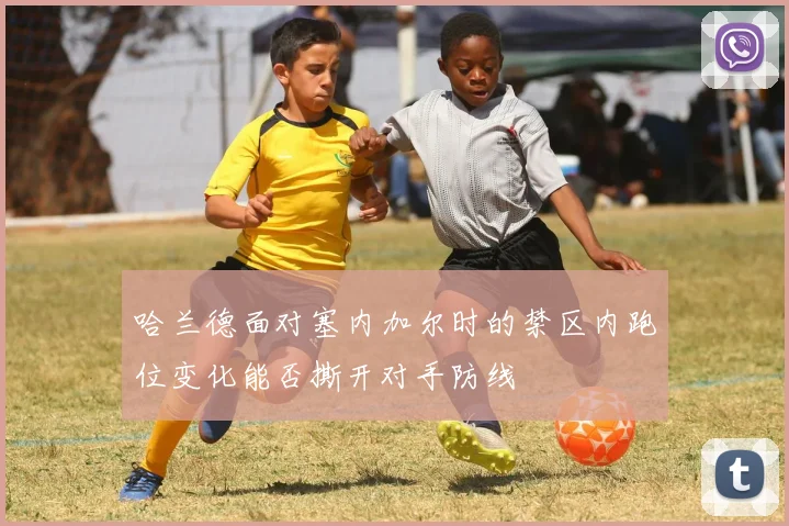 哈兰德面对塞内加尔时的禁区内跑位变化能否撕开对手防线
